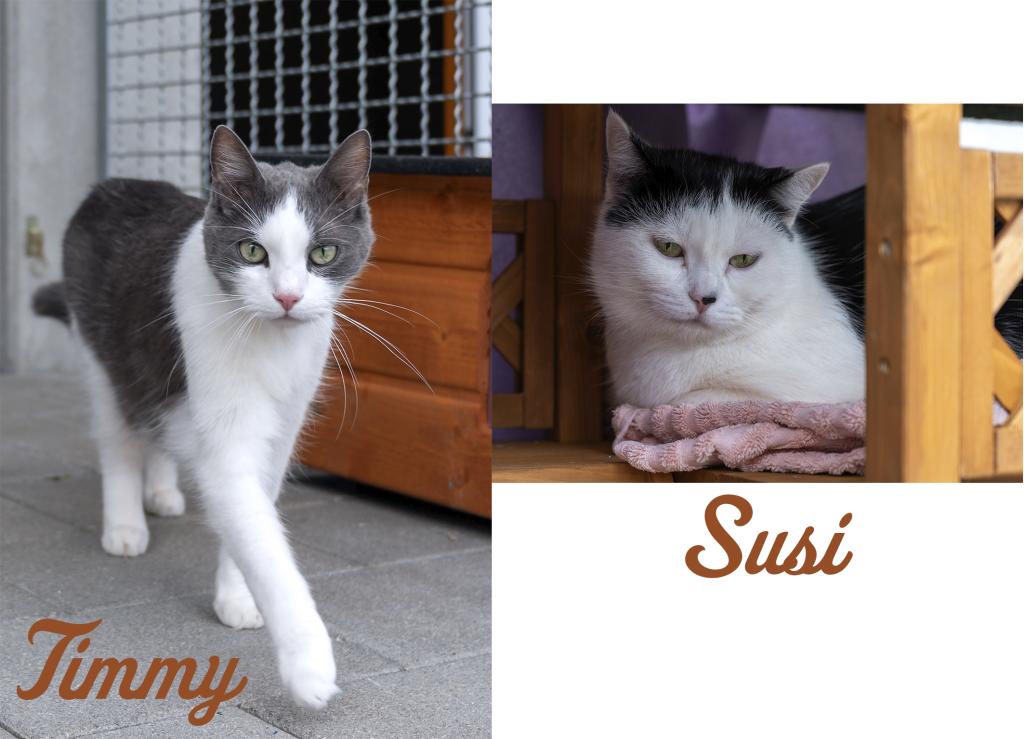 Susi und Timmy Susi und Timmy