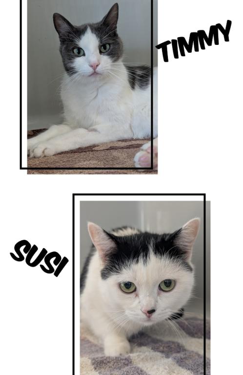 Susi und Timmy Susi und Timmy
