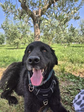 Sam