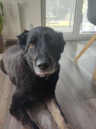 Ben 