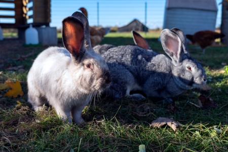 Bonita & Pablo