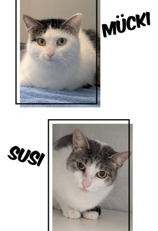 Susi und Mücki