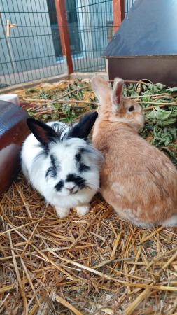 Billi&Bobby