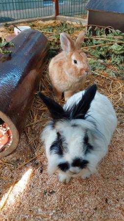 Billi&Bobby