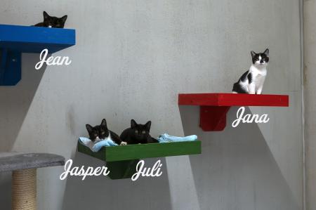 Jean, Jana, Jasper und Juli 